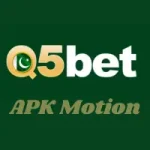 q5 bet game